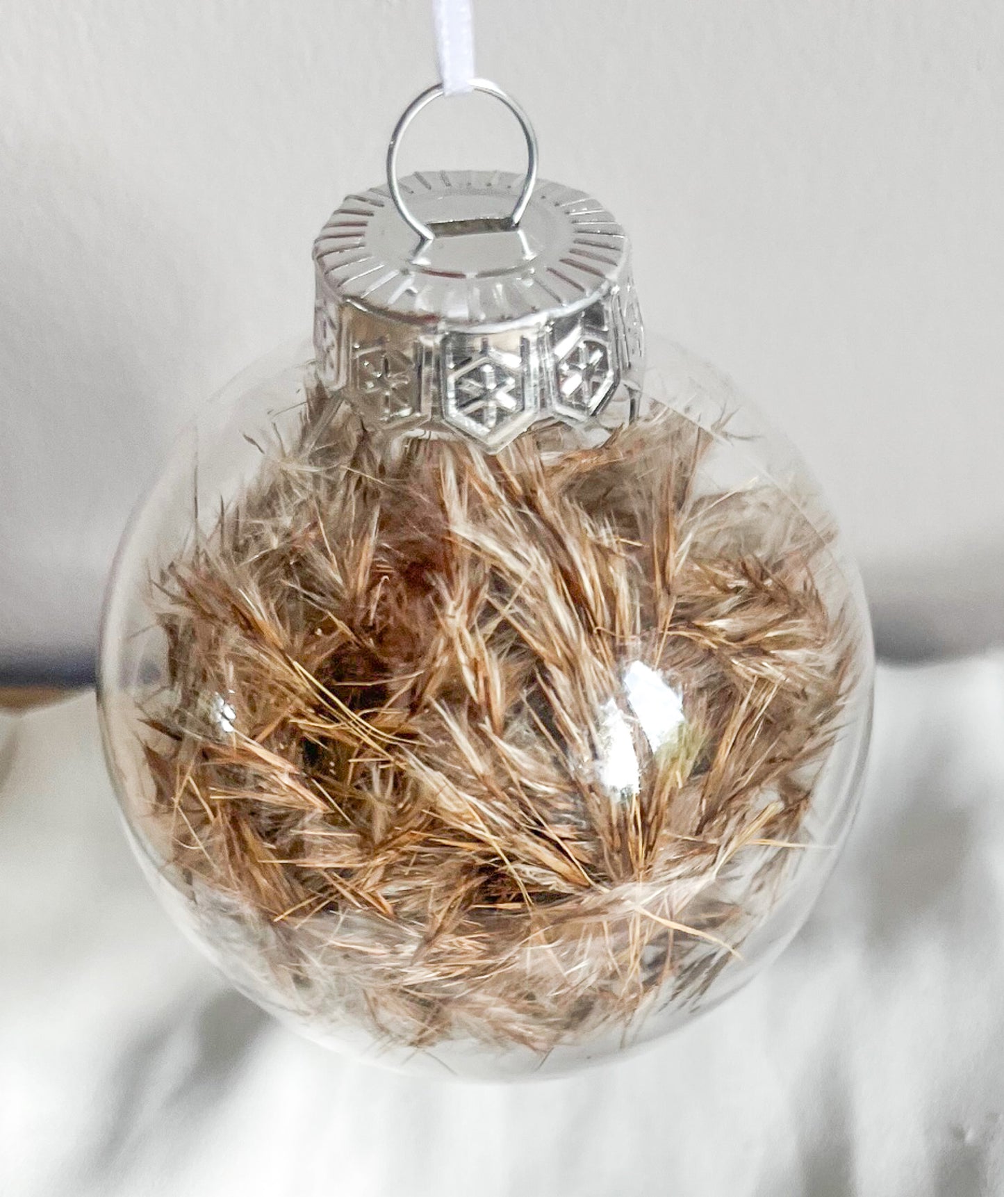 Pampas brun