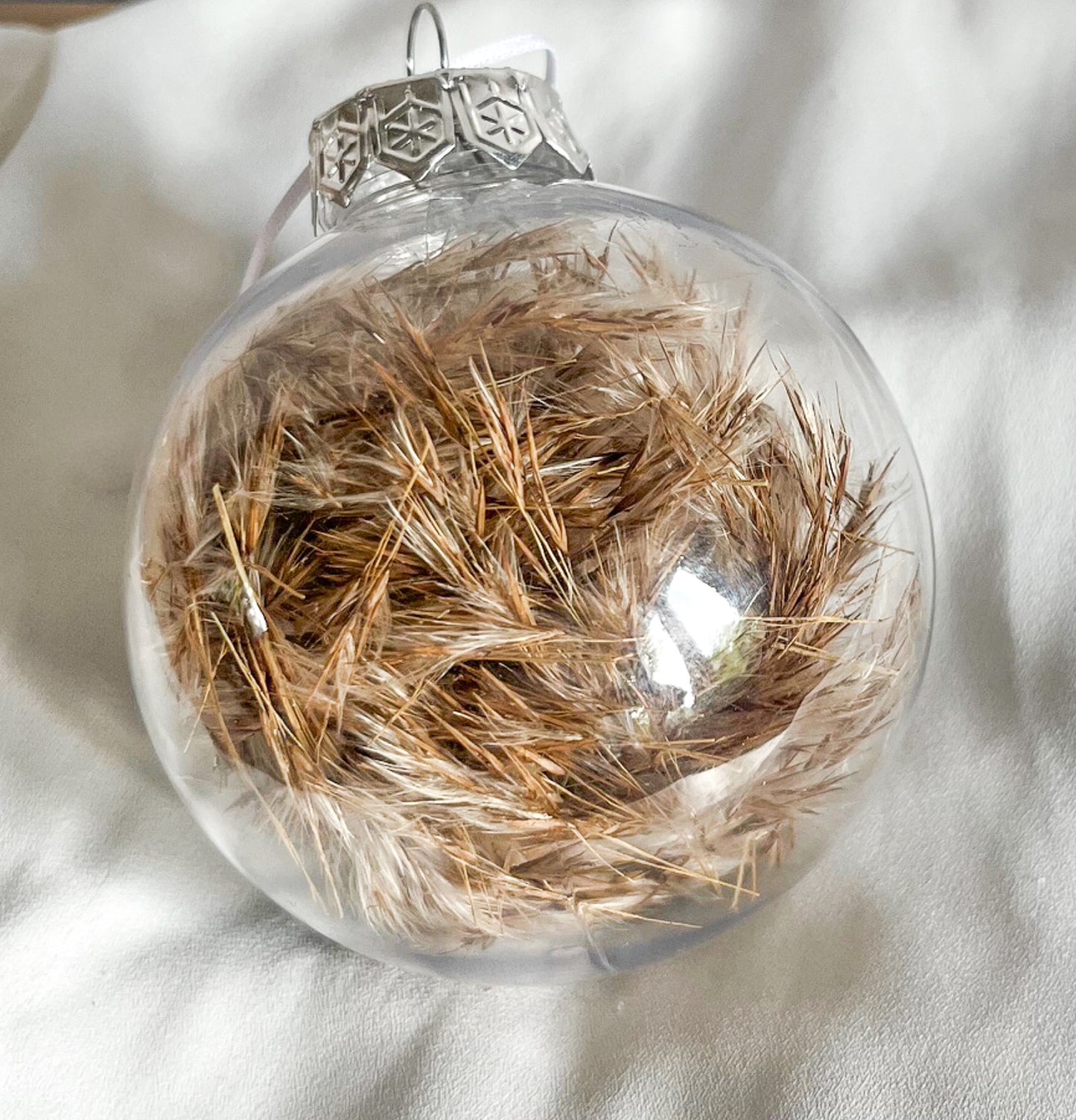 Pampas brun