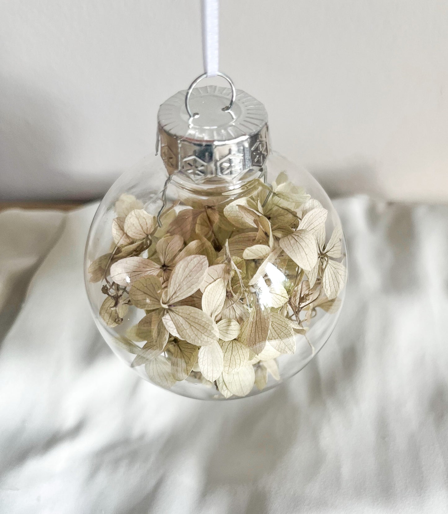 Hortensia hvid/grøn
