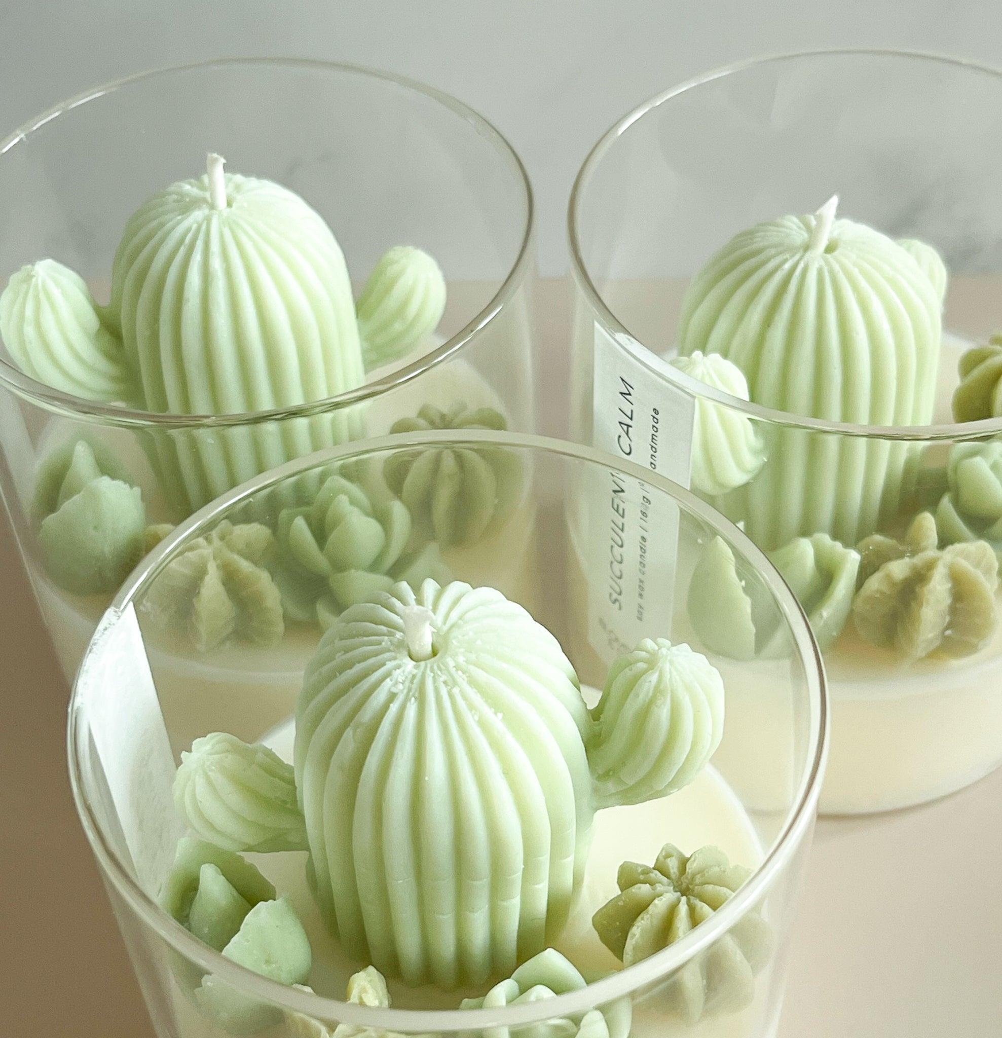 Succulent Calm