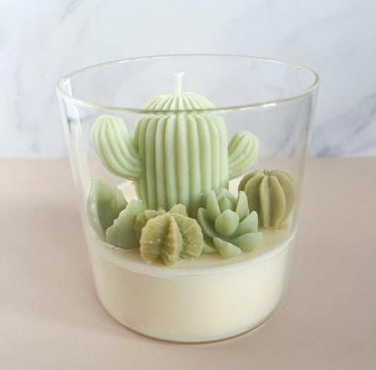 Succulent Calm