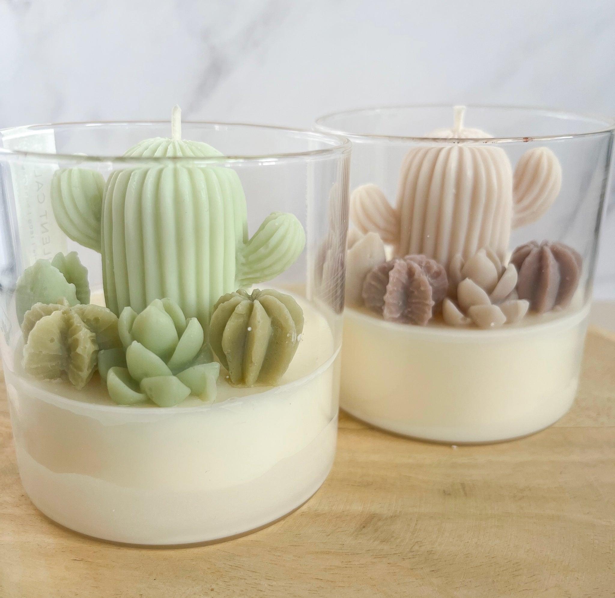 Succulent Calm