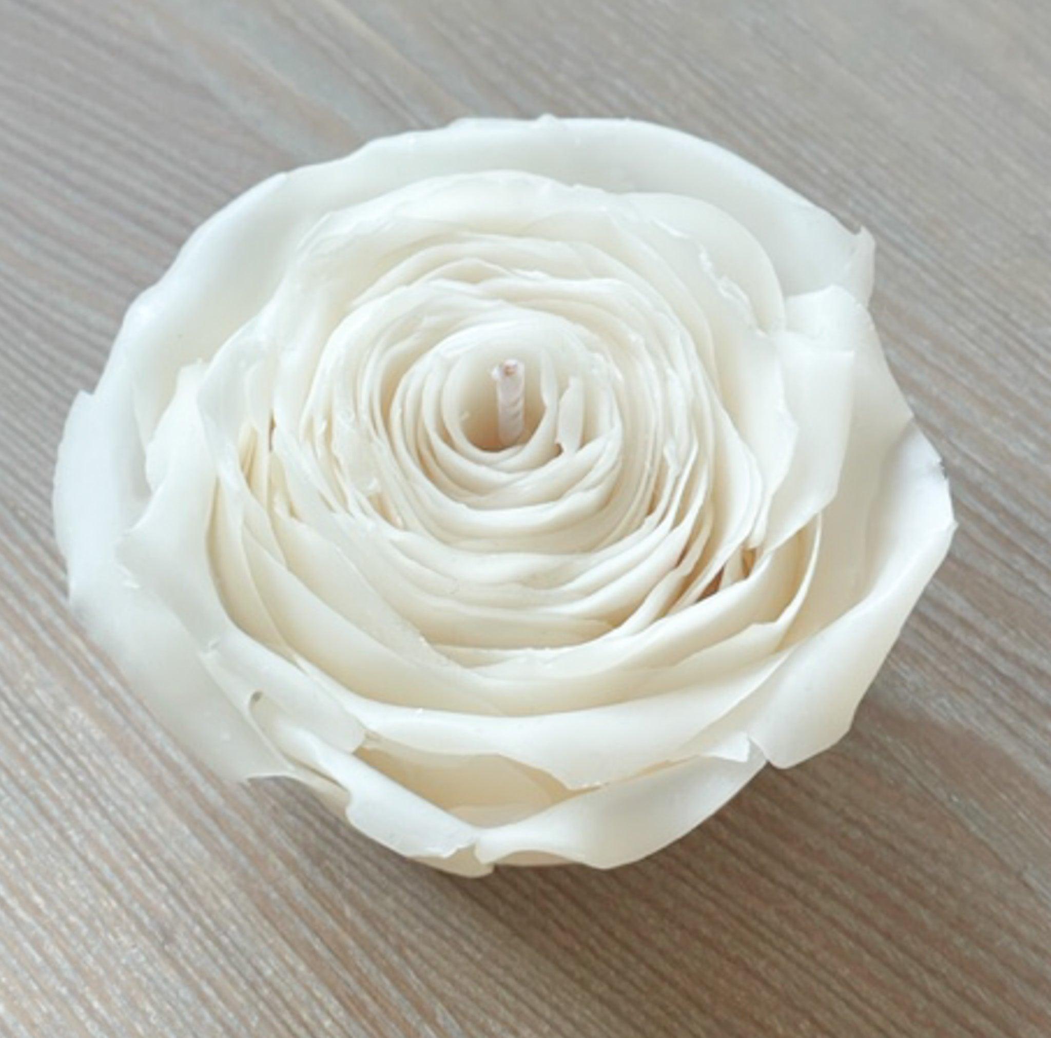 Hvide rose blomsterlys