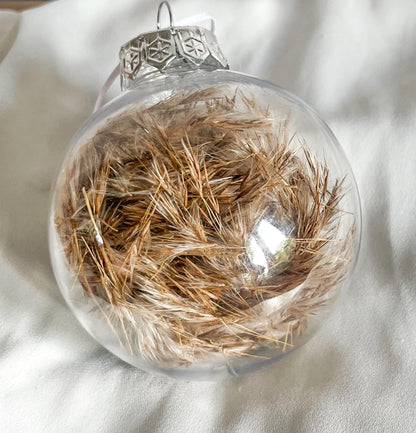 Pampas brun