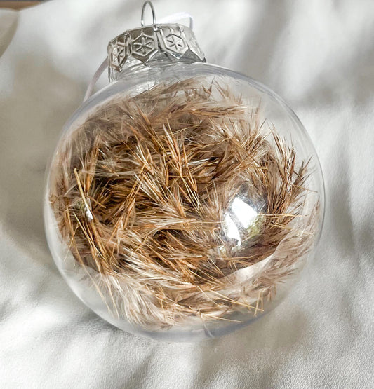 Pampas brun