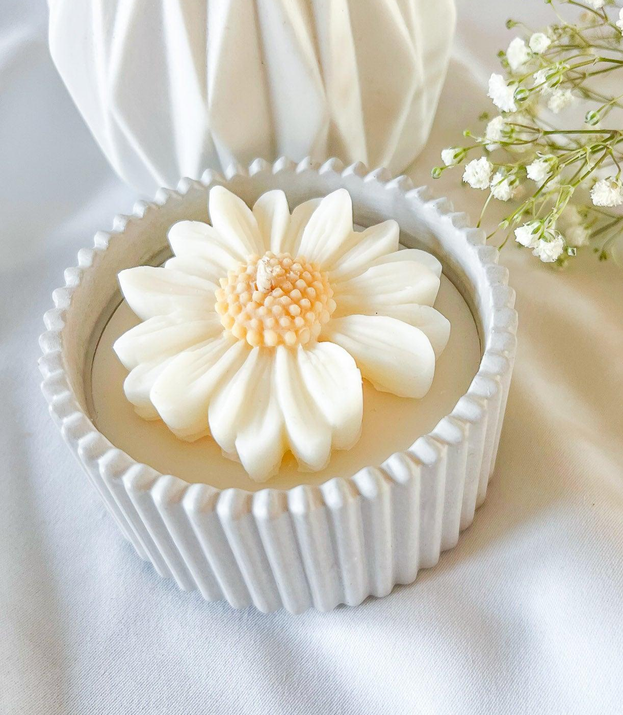 Pure Daisy