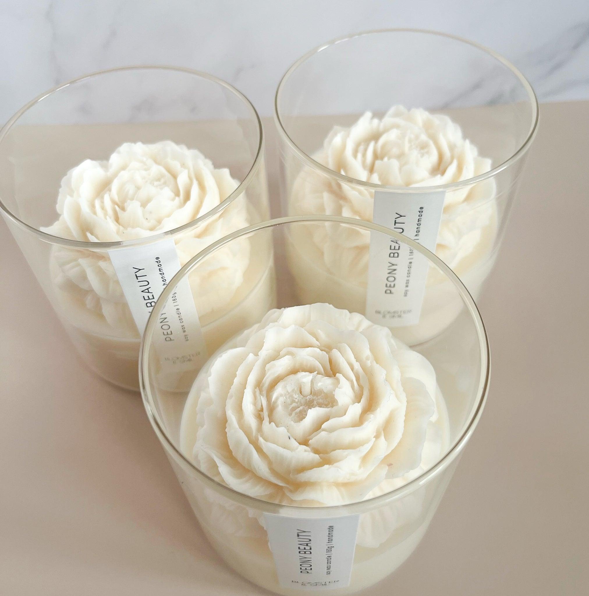 Peony beauty