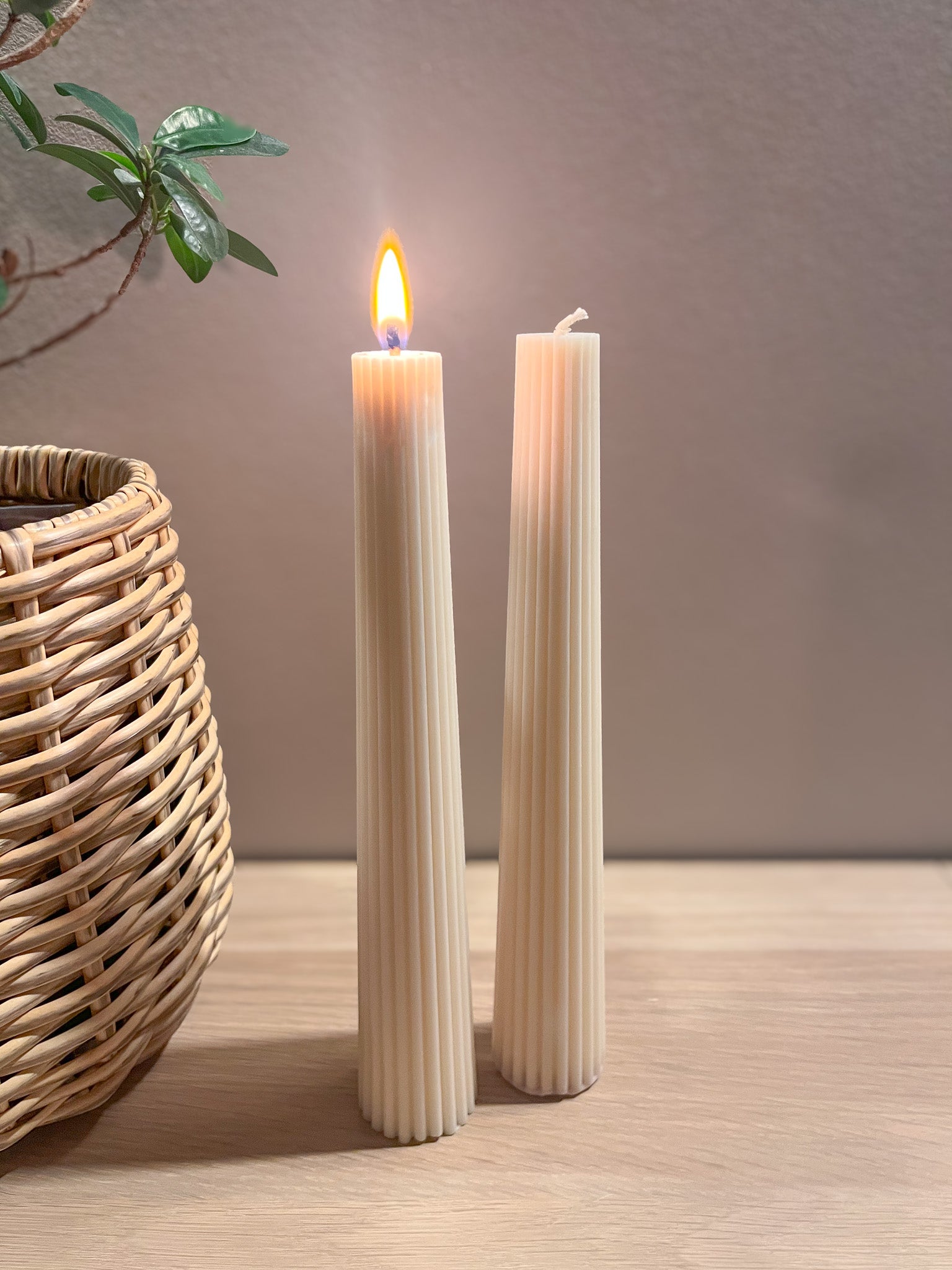 Orion - soja stagelys