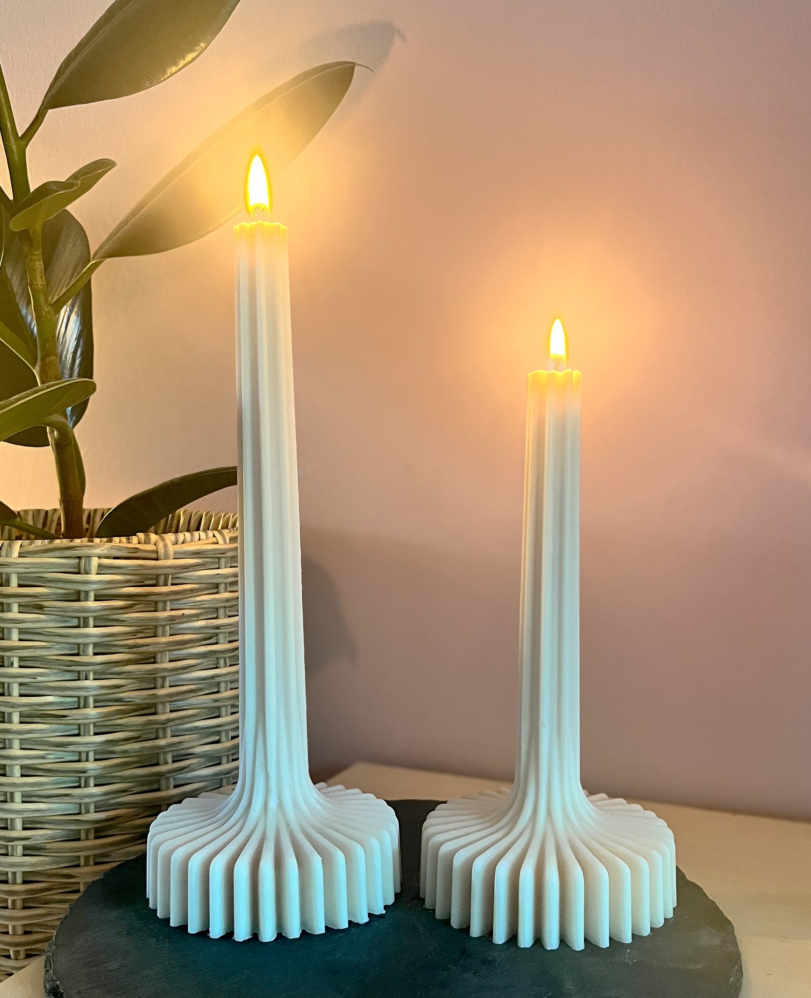 Stella - soja stagelys