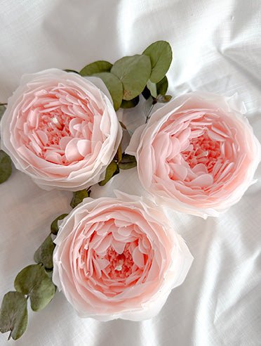 Blush – håndformet pæon blomsterlys