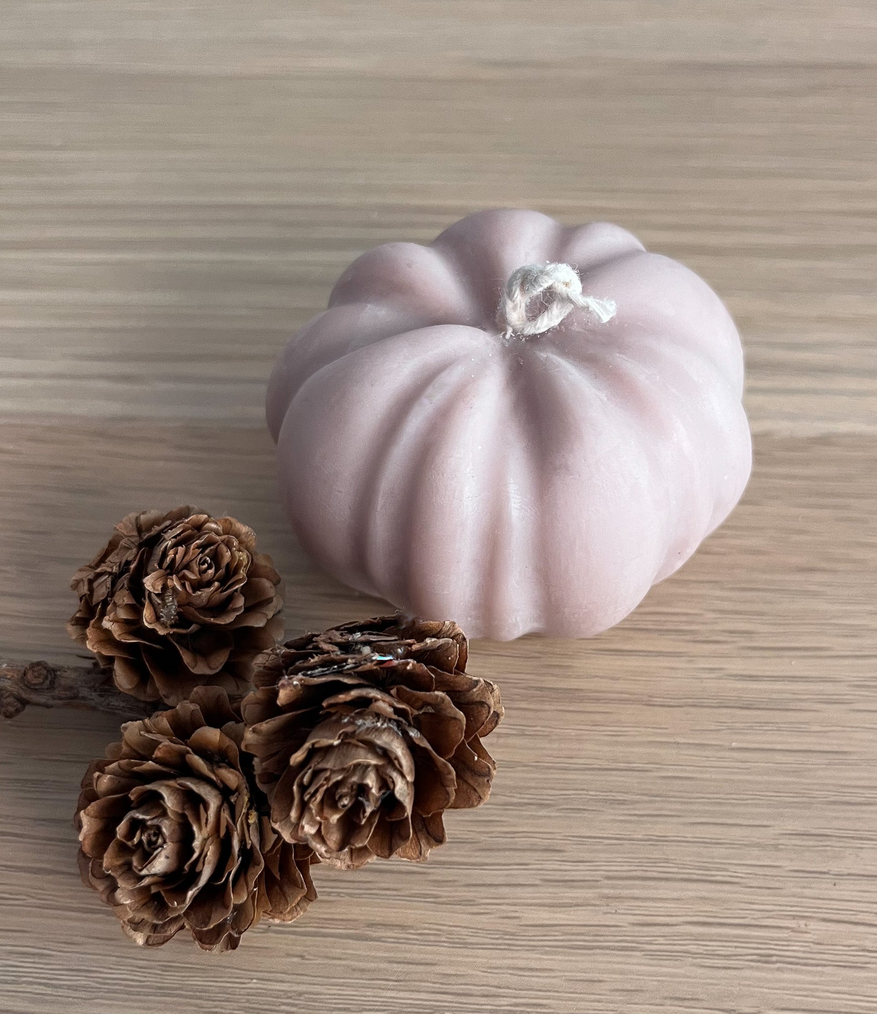 Lys brun græskarlys i sojavoks