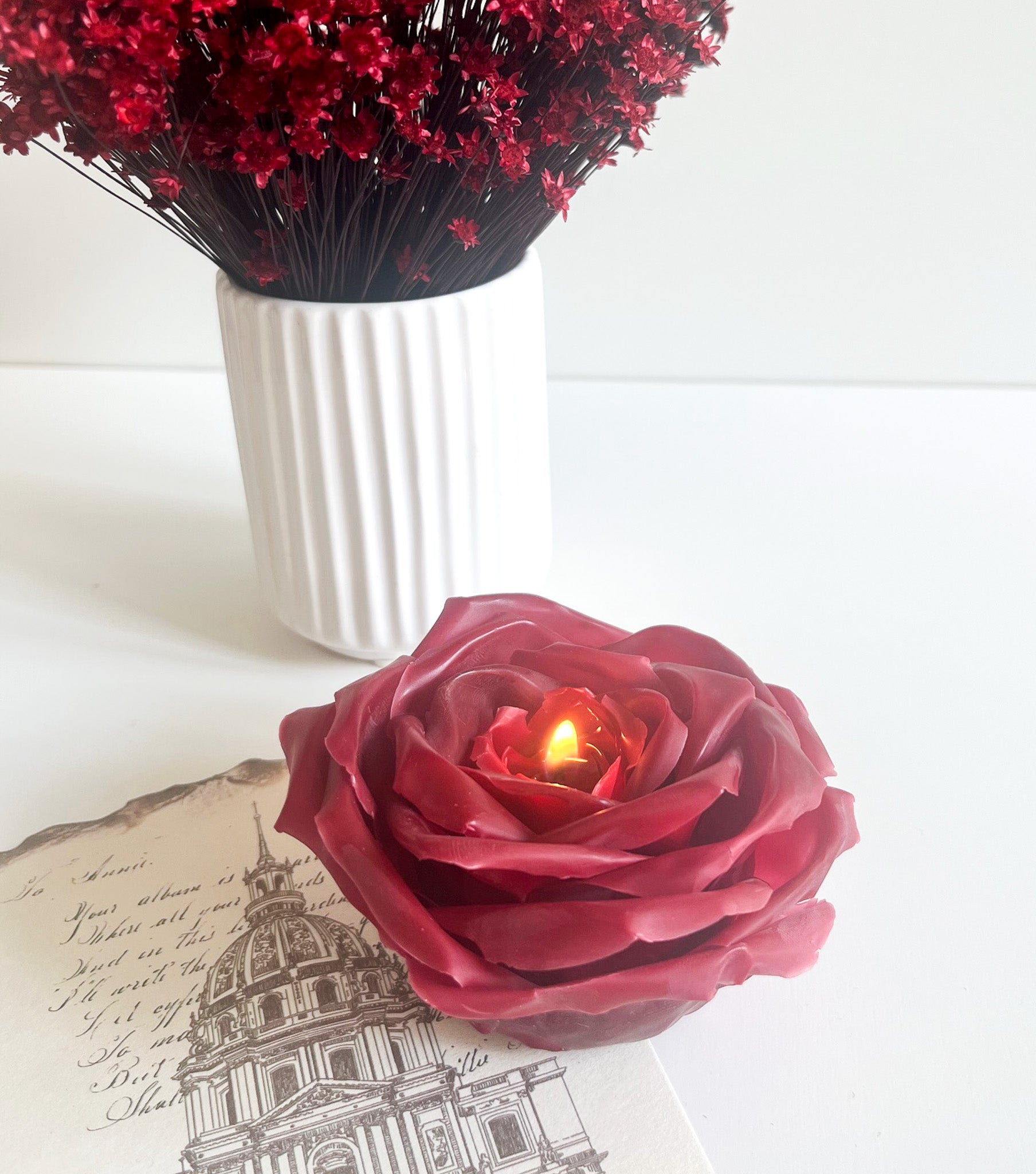 Dyb rød garden rose