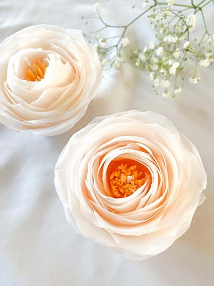Smuk rose modelleret af bivoks med et orange center og smukke hvide kronblade. Et smukt blomsterlys perfekt til ethvert hjem