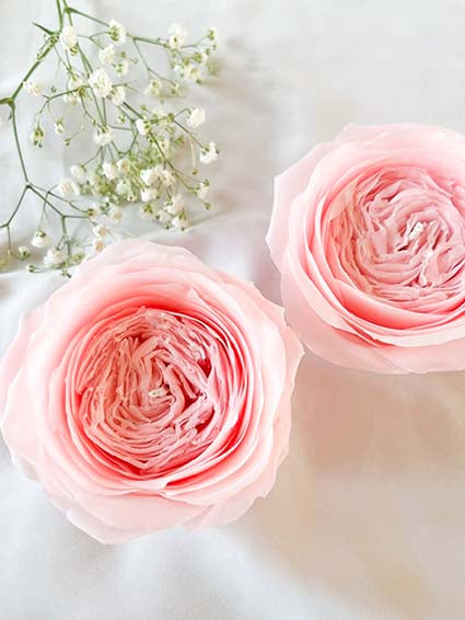 To smukke lyserøde juliet roser håndmodelleret af bivoks. Romantiske blomsterlys for en hyggelig stemning.