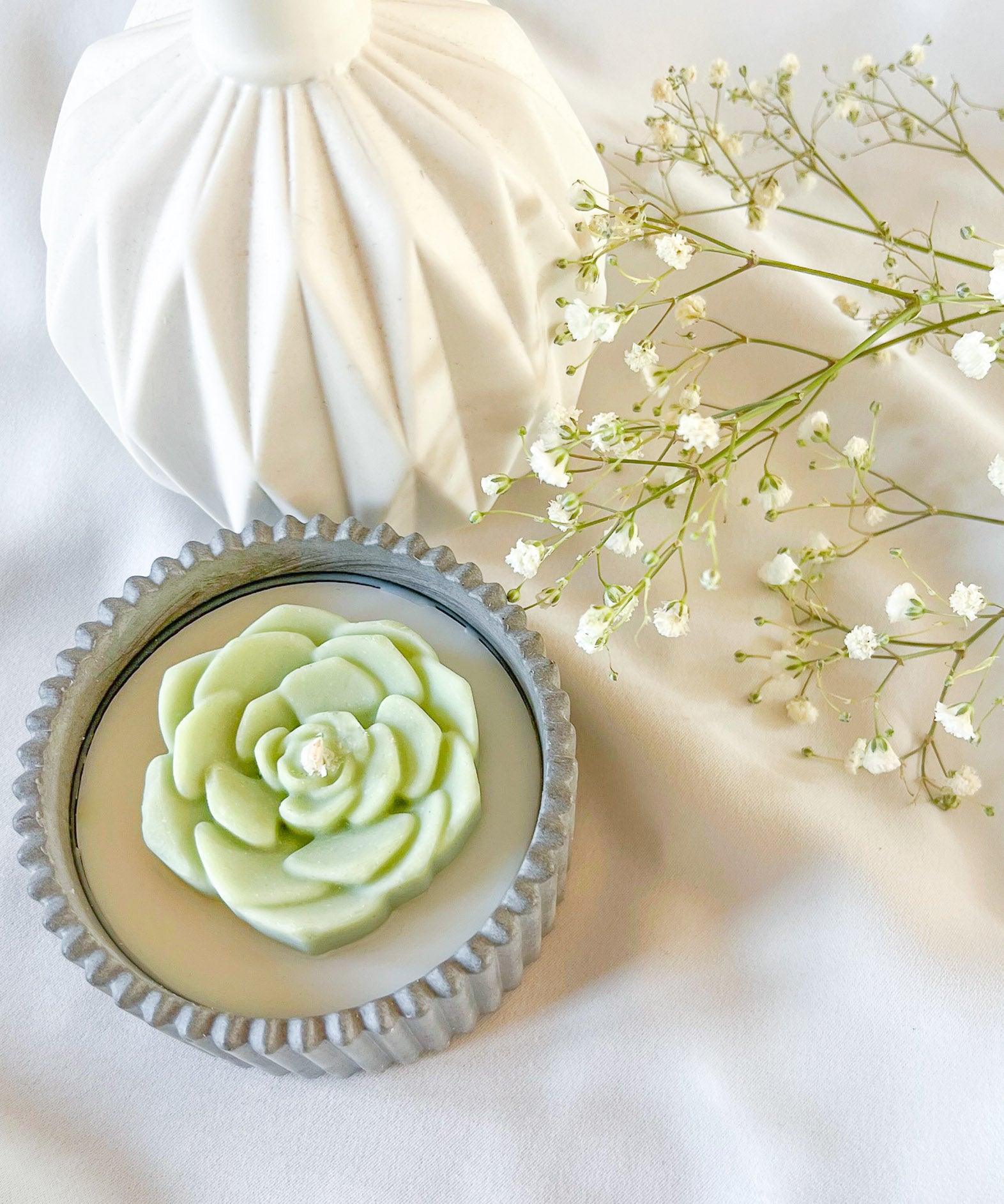 Gentle Succulent