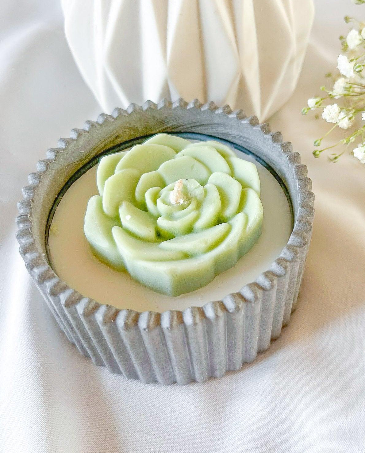 Gentle Succulent