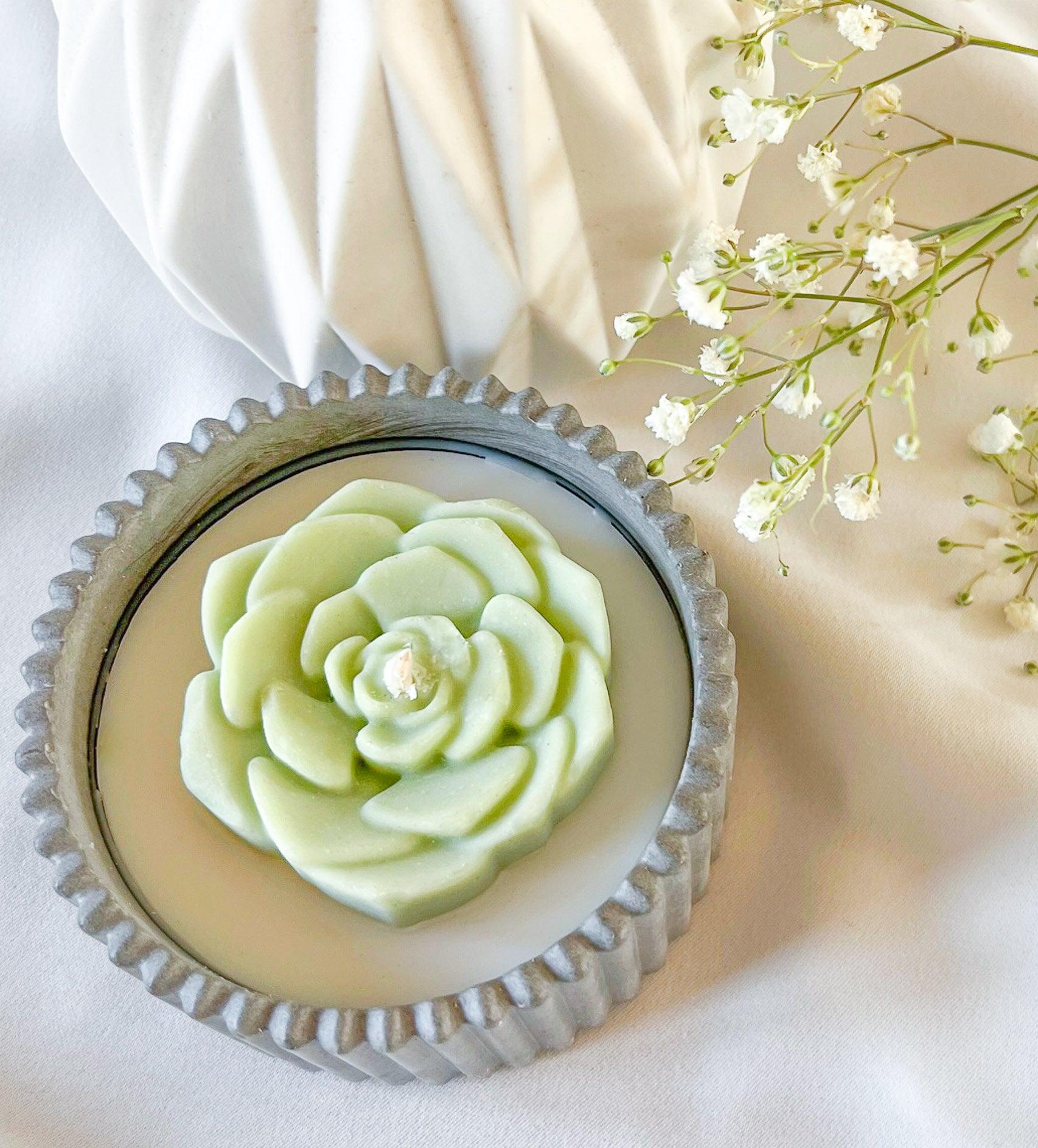 Gentle Succulent