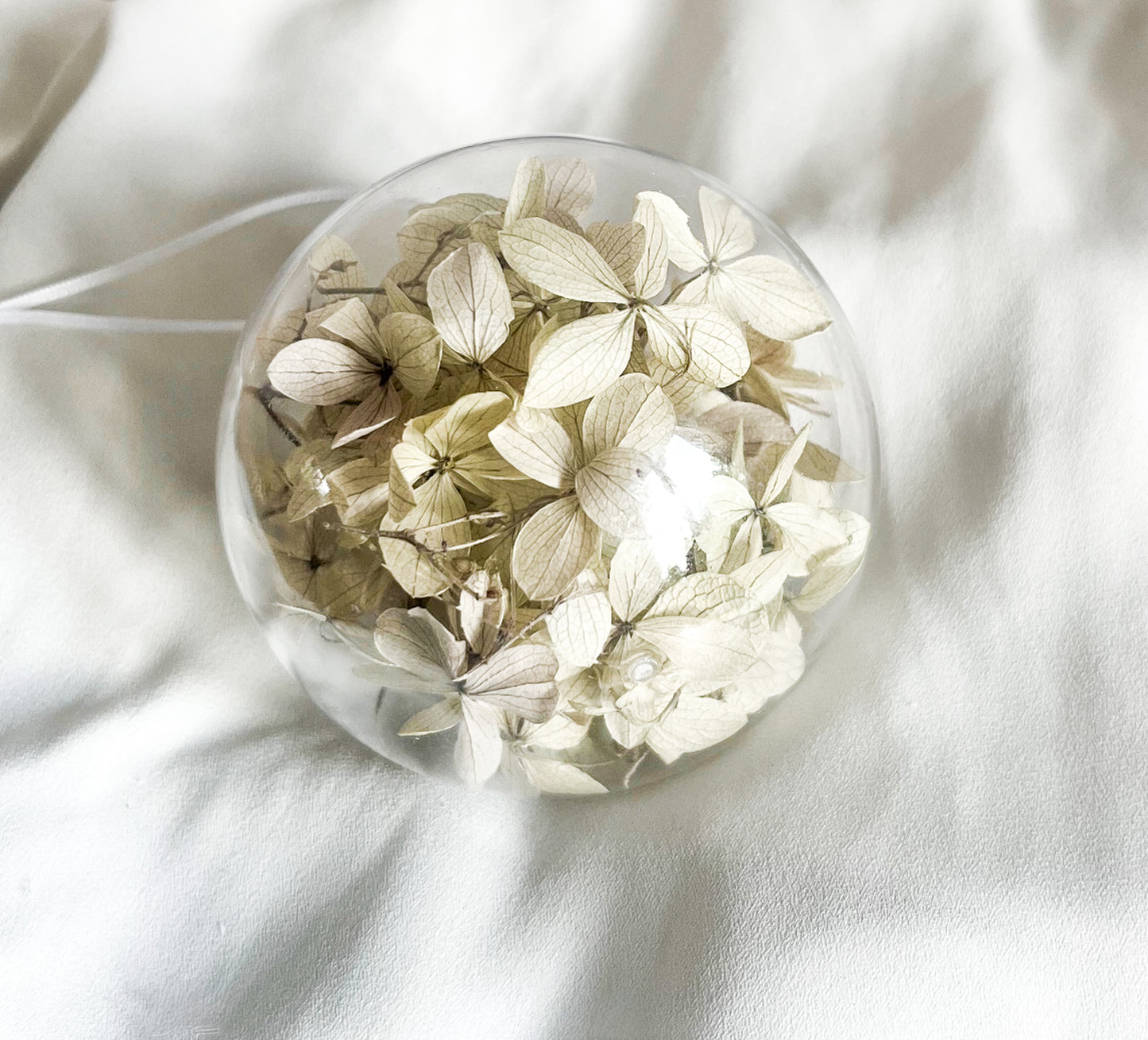 Hortensia hvid/grøn