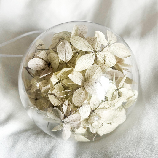 Hortensia hvid/grøn