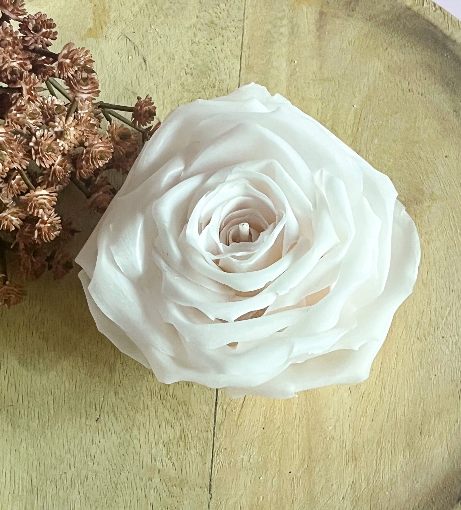 Hvide rose blomsterlys